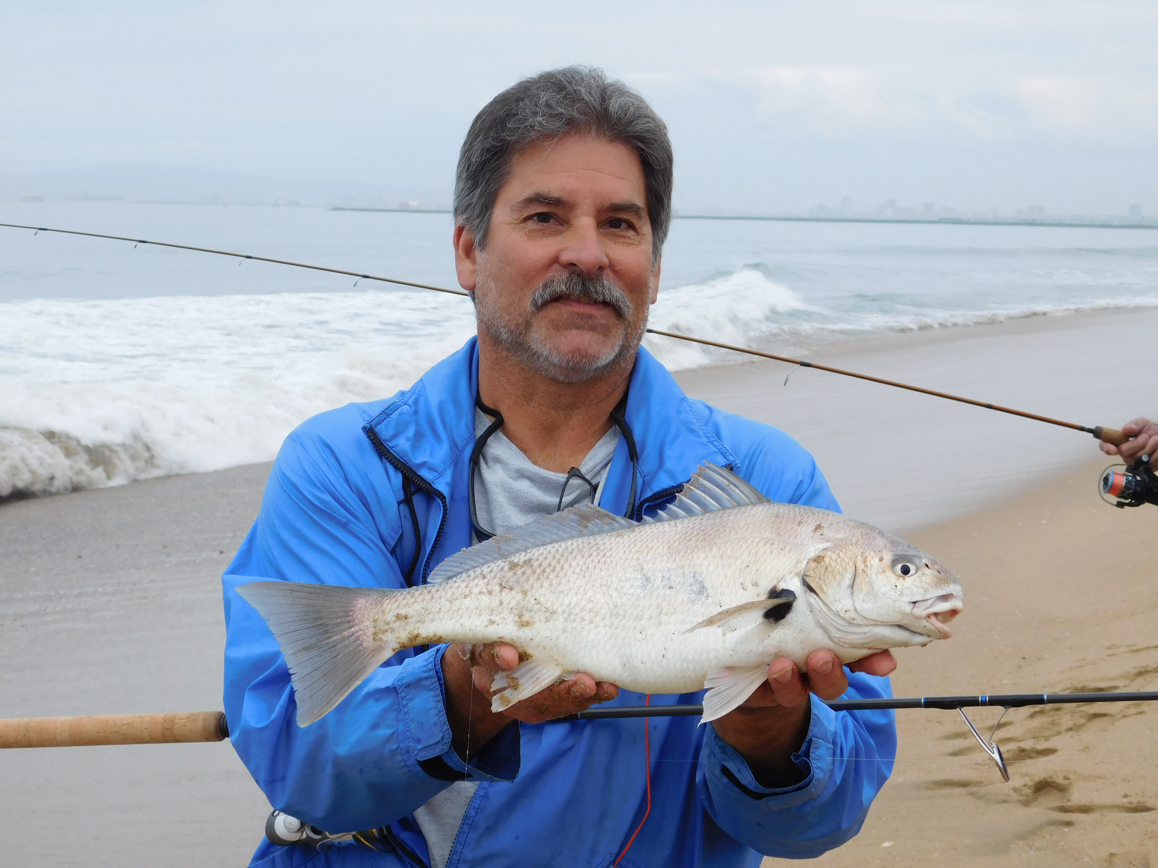articles   - California Surf Fishing- A Light Line  Revolution With Bill Varney