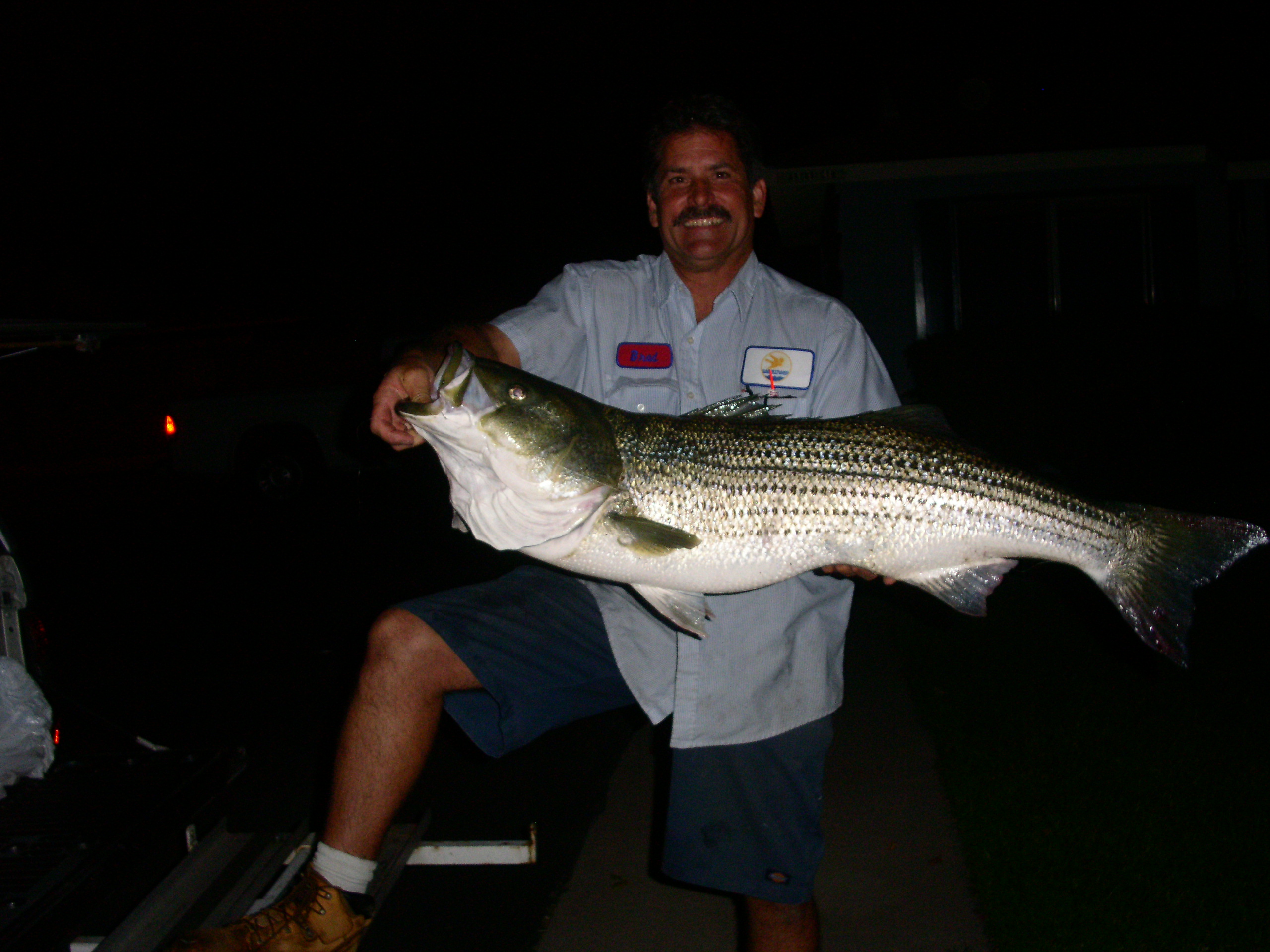 Striped bass fishing in estuaries, bays and along the beach with